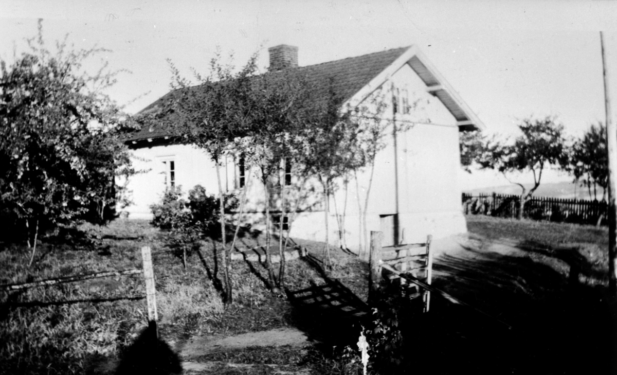 Småbruket Vestgård, Helgøya.