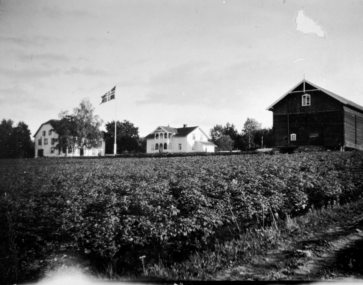 Den gamle og nye hovedbygningen på Eskerud, Helgøya. Låven i forgrunn brant ned i 1949. Den gamle hovedbygningen til venstre ble revet ca. 1938.