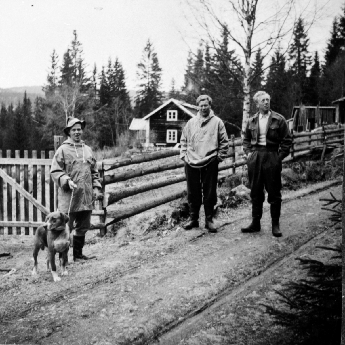Rolf Ulven med hund, Sverre og Kasper Ulven, Lundstein, Ringsaker.