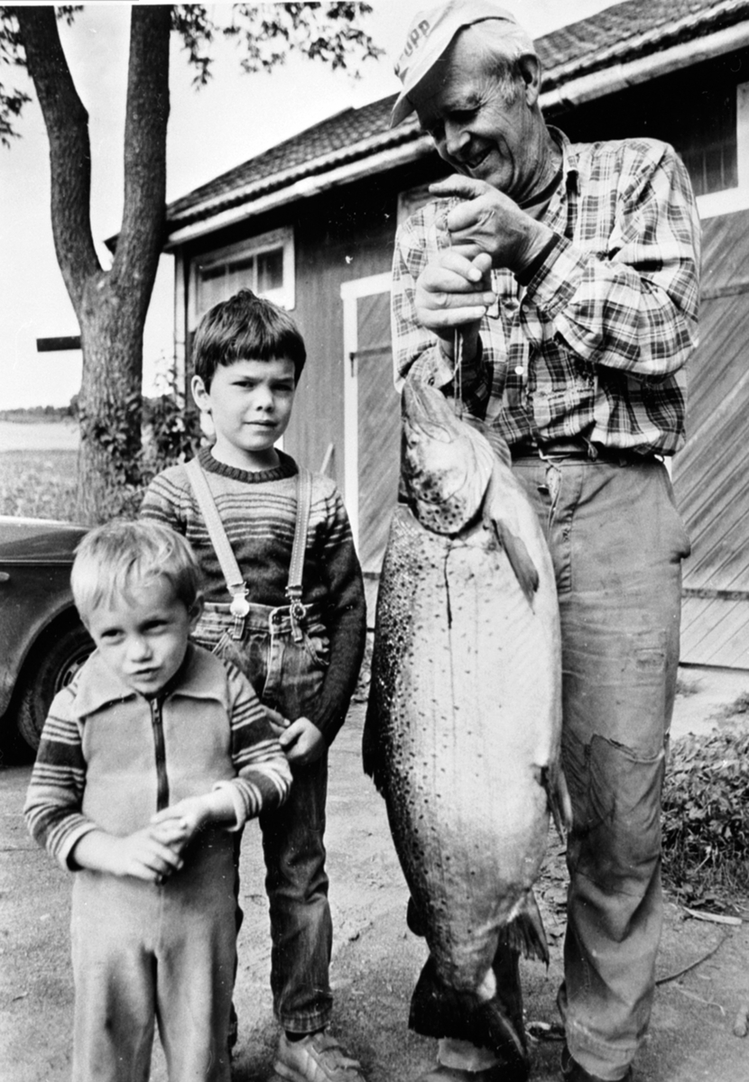 Trond Økseter holder Mjøsørret tatt på garnfiske utenfor Nedre Vien, Helgøya i 1986. 85 cm lang, 68 cm livvidde, 14,5 kg. Barnebarna Anders Thomas og William Espen.