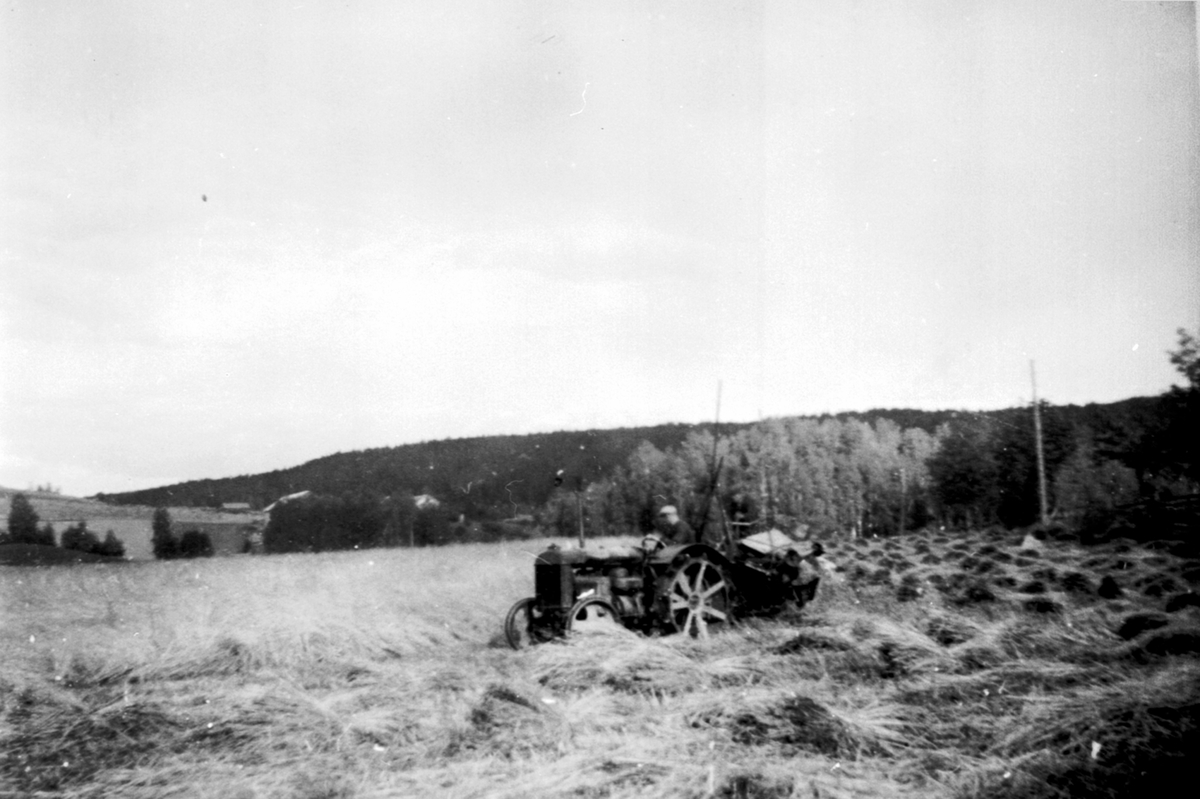 Skuronn på Skjønsby gård, Ringsaker. Fordson jerntraktor med slåmaskin.
