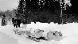 Tømmerkjøring med hest på Skjønsby, Ringsaker. Stokker av os