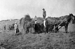 Høyonn på Heramb,Herram, Ringsaker. Hester med høyvogner. Fo