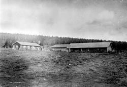 Eksteriør. Seter. Heramb sin seter på Moste i Ringsakerfjell