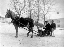 Hest med spisslede på Heramb, Herram, Ringsaker. Føderådsman