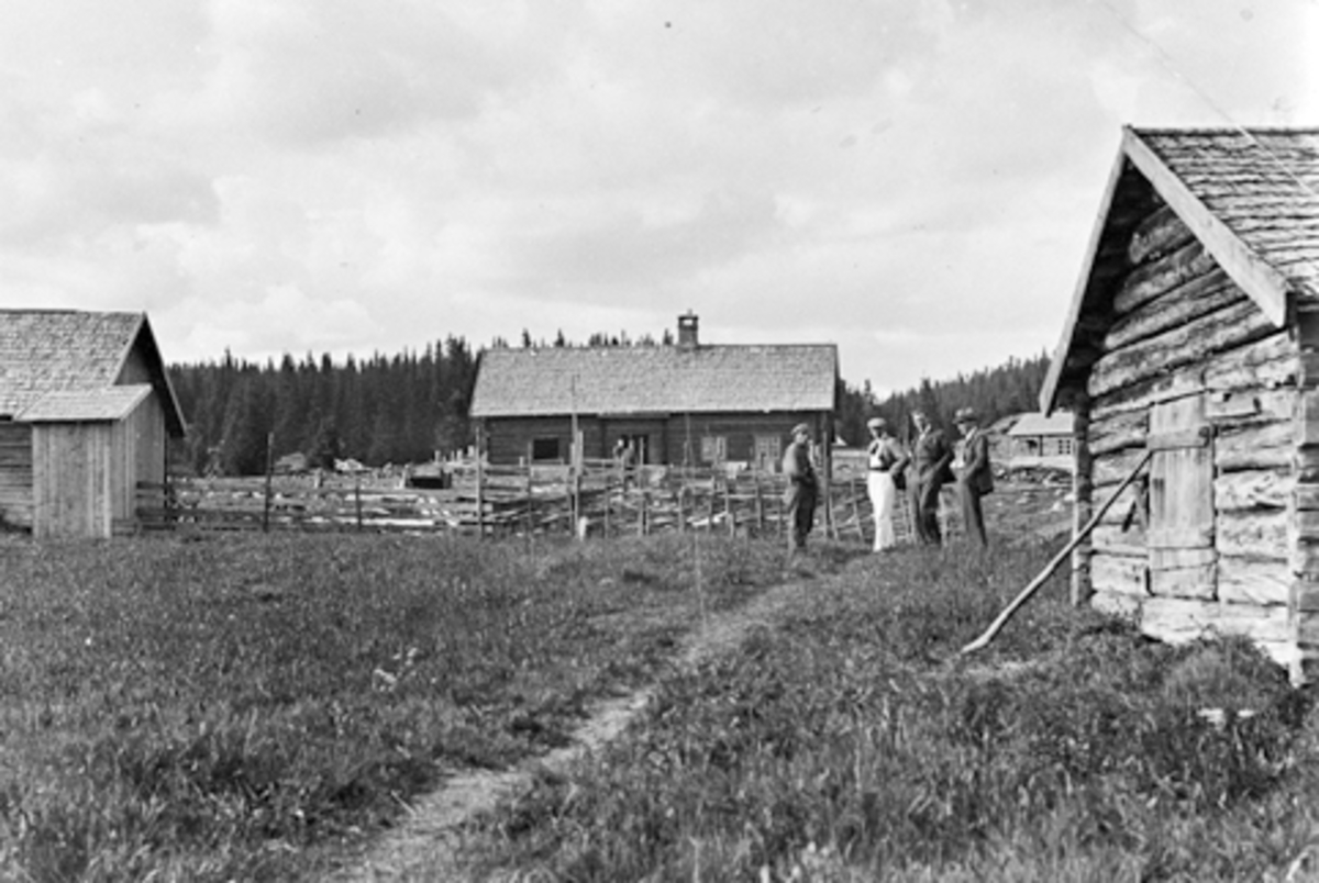 Eksteriør, seterhus, Bogstisetra, Gammelskolla, Ringsaker. Anders Haugli med folk fra turistforeningen Hedmark/Oppland, representert ved Stousland og ingeniør Ondal.