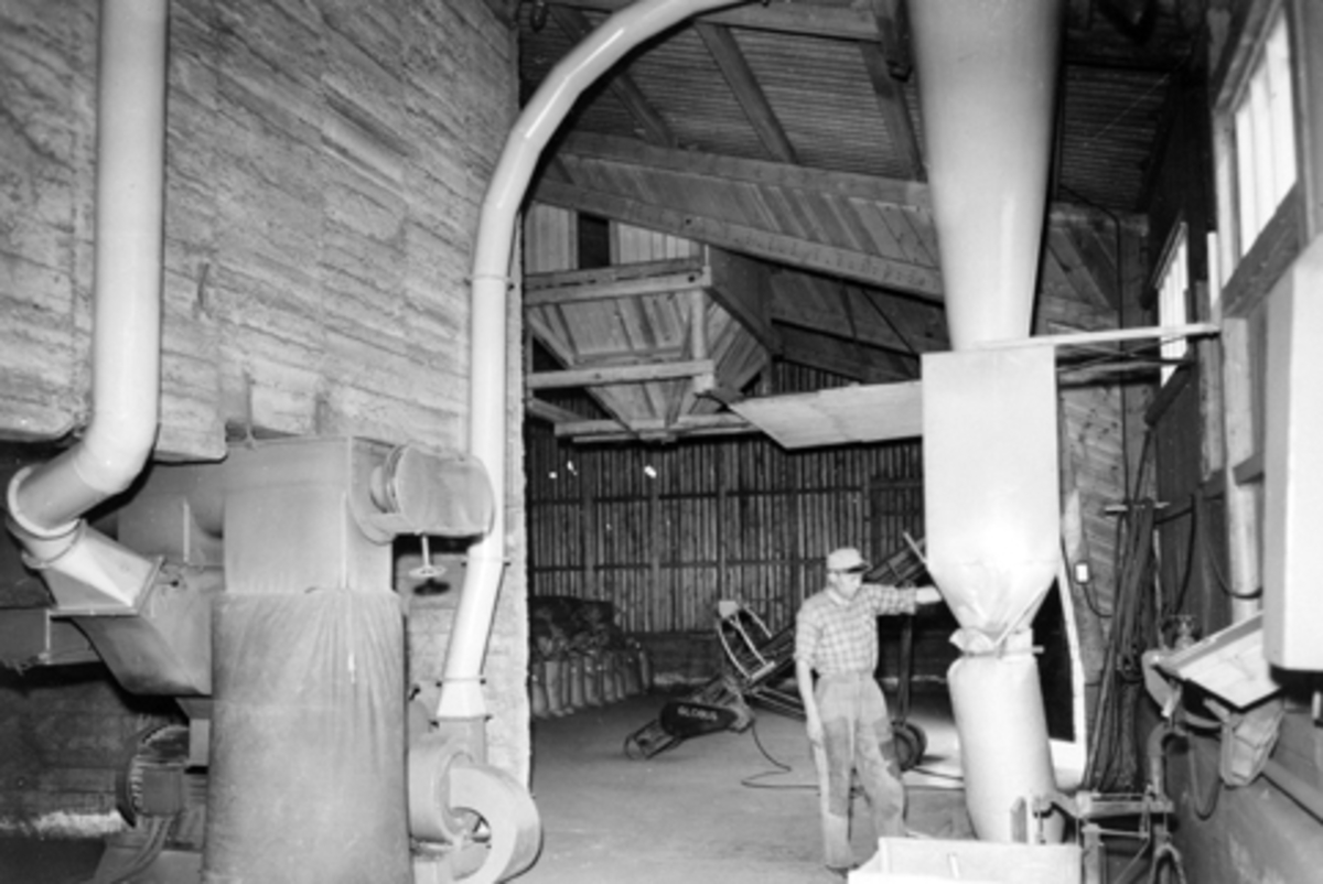 Nes Grasmjølfabrikk, Kvam, Nes, Hedmark. Interiør fra produksjonshallen. Sven Erik Fossum fyller grasmjøl i sekker. Det meste av grasmjølet ble solgt til Felleskjøpet som blandet det i kraftfor.