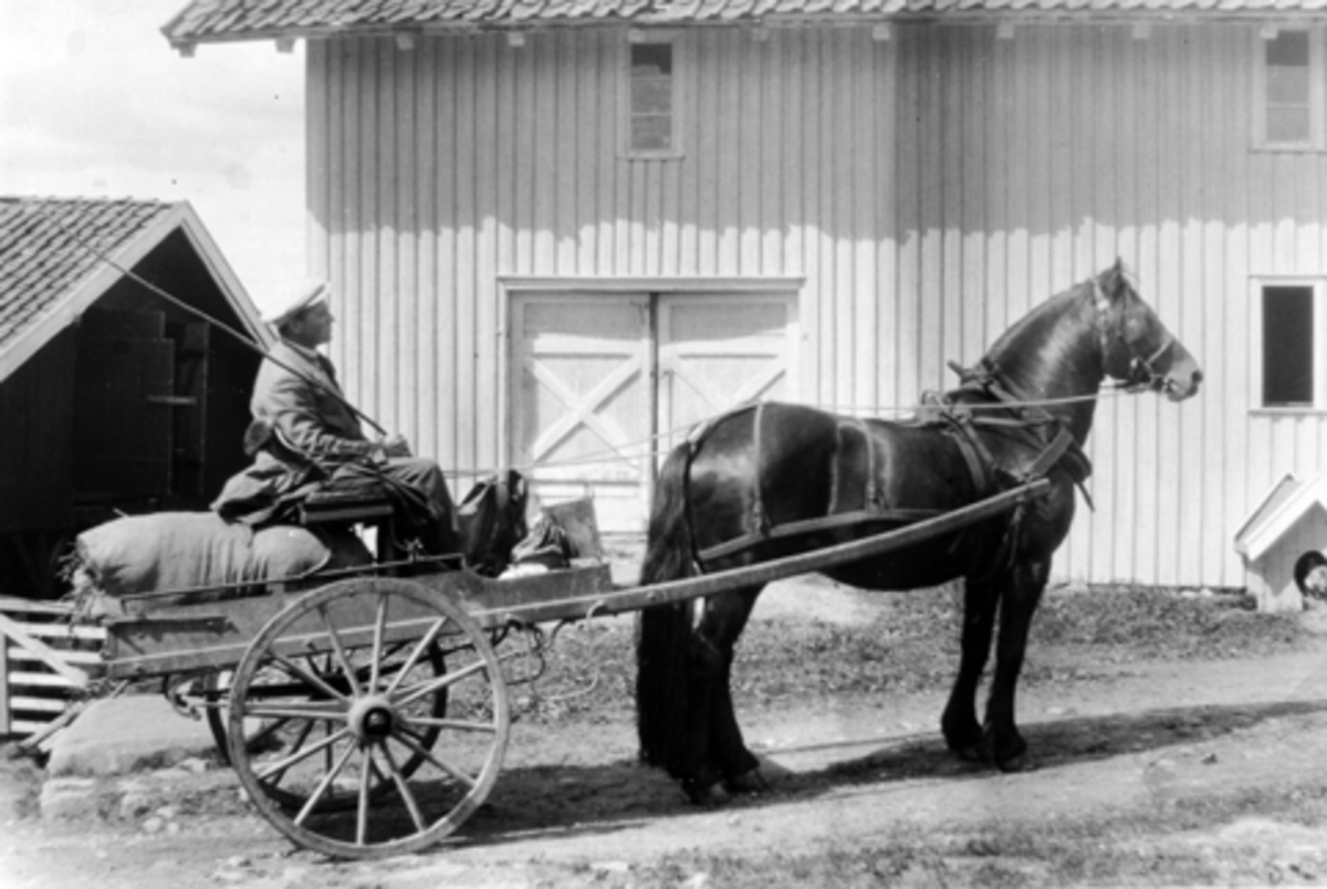 Peter Skyberg på veg til Lenningen med hesten "Høgnar" i 1926. Mørkved store, Ringsaker. Fullastet kjerre.