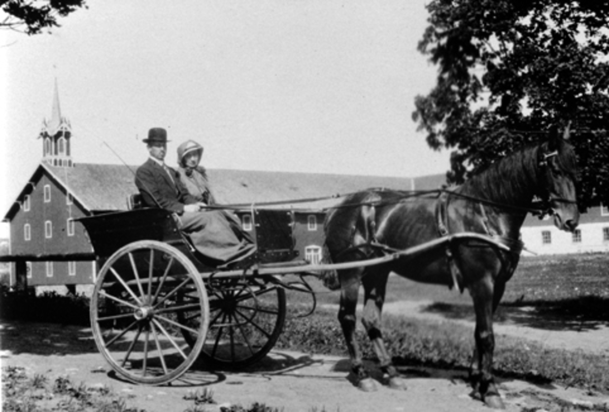 Hest med trille. Mann og kvinne kjører på Hoel gård, Nes, Hedmark.