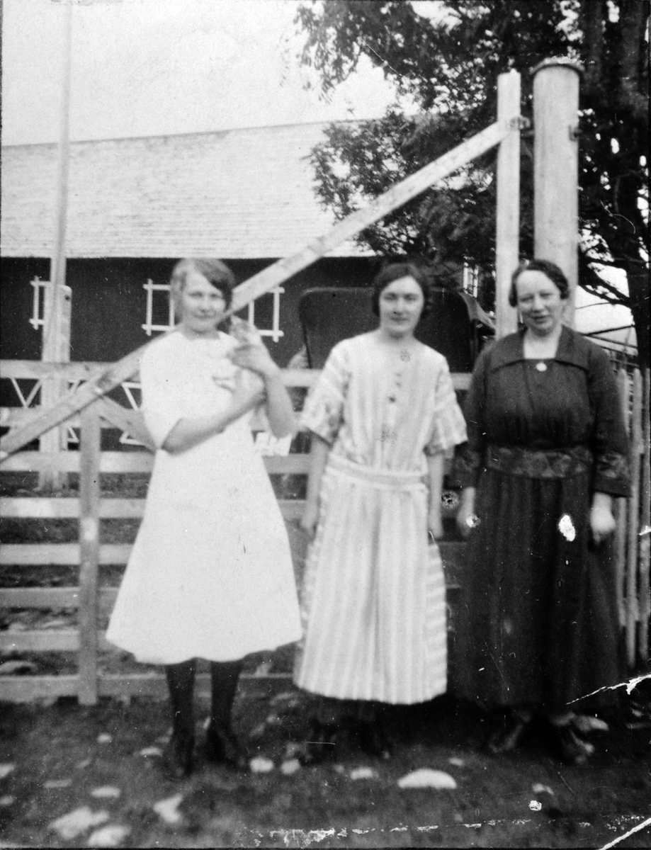 Jentene på Harby, butikk og gård, Åsmarka, Ringsaker. Fra venstre er Johanne Kjelbakken, Magnhild Haug og Sigrid Plassen (fra Valdres), ca. 1925.