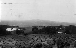 Tjerne gård, Ringsaker. Kornsneis på staur.