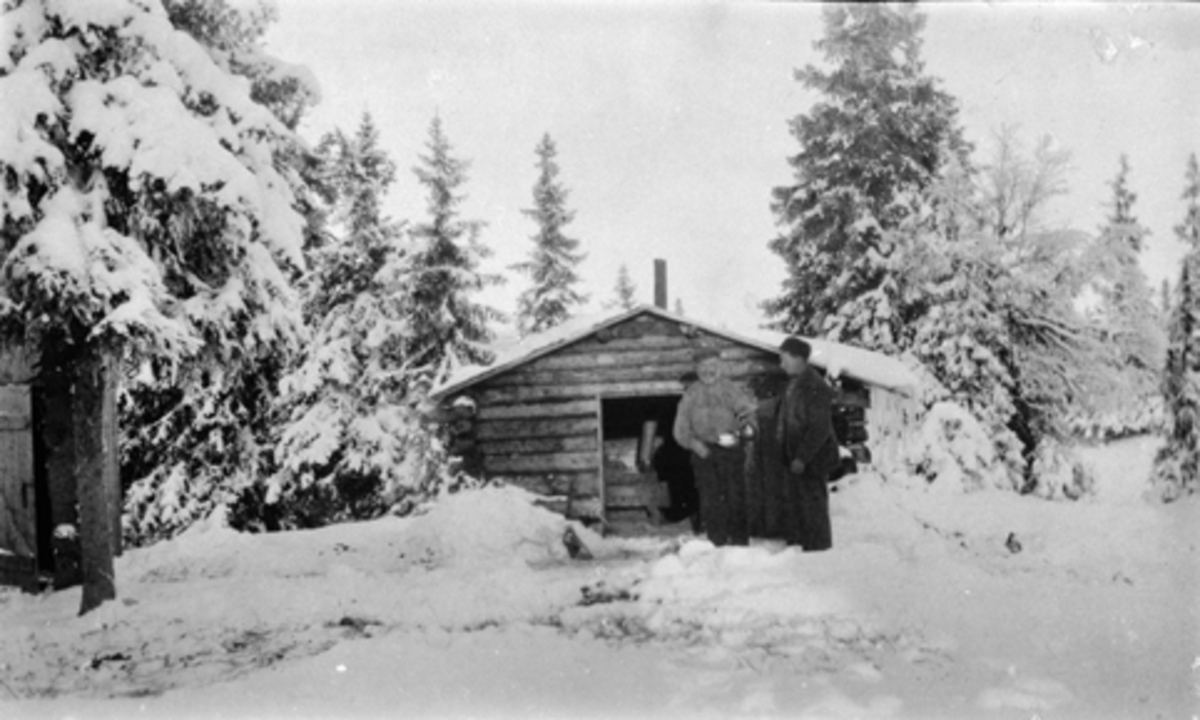 Eksteriør, skogskoie, Busmundrud, Åsmarka, Ringsaker. Johan og svigersønnen Mathias.