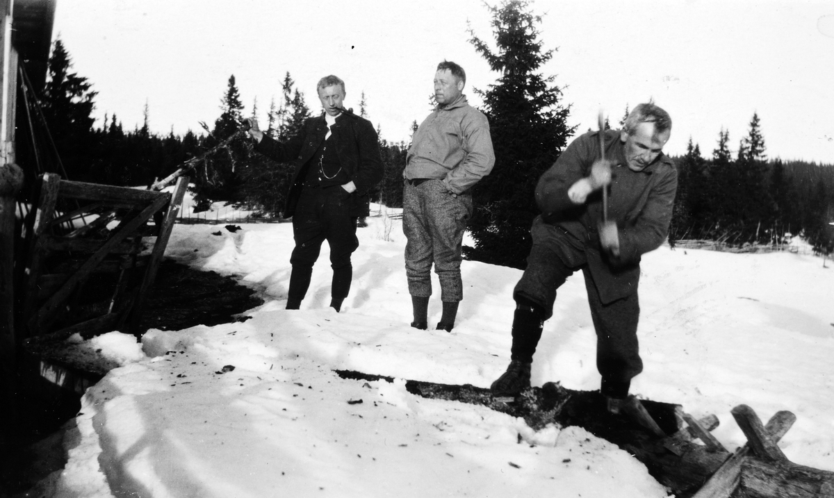 Påsketur på Bjønnåsen, Furnes almenning, ca. 1930. Ukjente, kløving av ved. 
