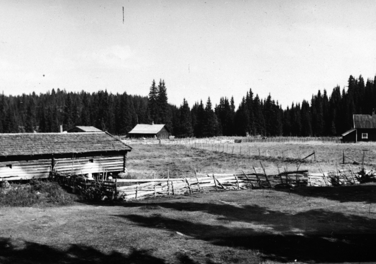 Vang H, Vang Almenning,  Bolsdalen i Åstadalen, Fellesfjøs, Ingeberg gård sin seter, Vestre Disen seter sitt seterhus til høyre, 