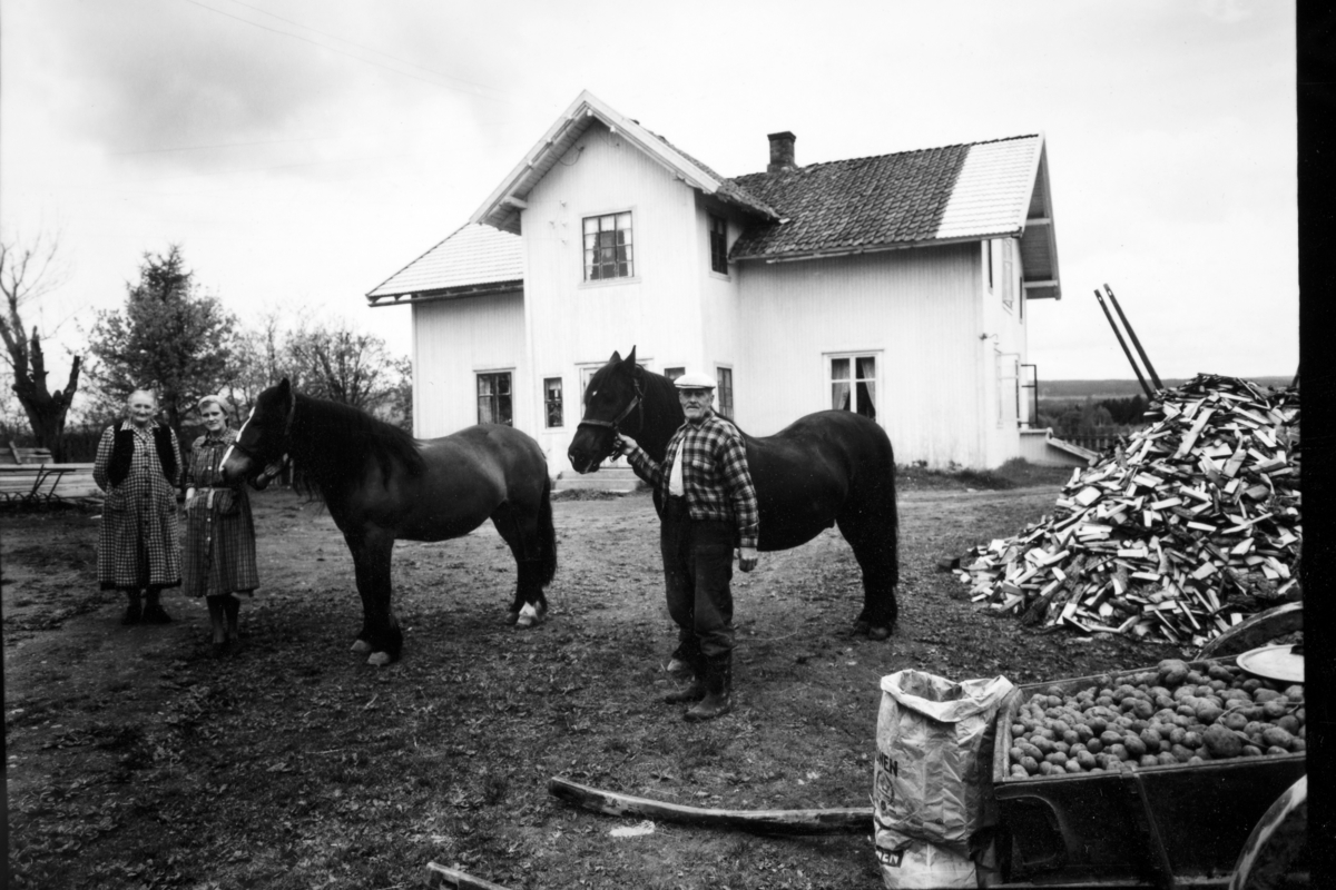 114/7. Nygard ca. 1953. F. v. Karoline, Elida og Emil Løberg sammen med hestene Dokka og Frøy. Kjerre med poteter, vedhaug. 
