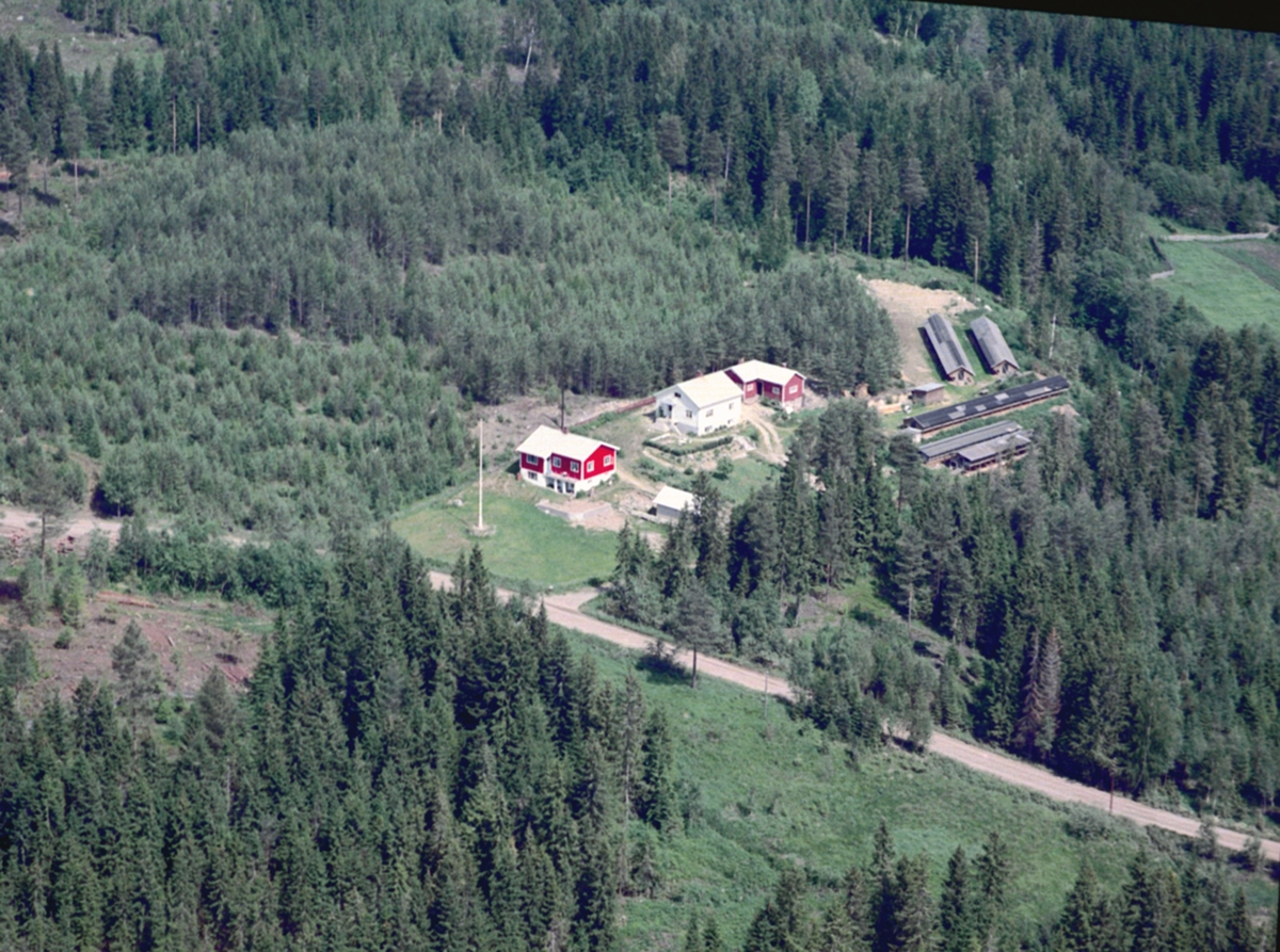 FLYFOTO KULBULIEN. PELSDYRFARM