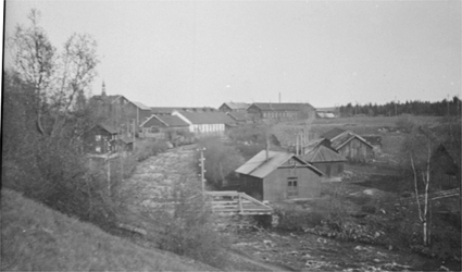 EKSTR: AADALS BRUK, FABRIKK, SVARTELVA, ÅDALSBRUK. Aalsvold på sørsida av elva, fabrikkområdet langs nordsiden.  Løten.