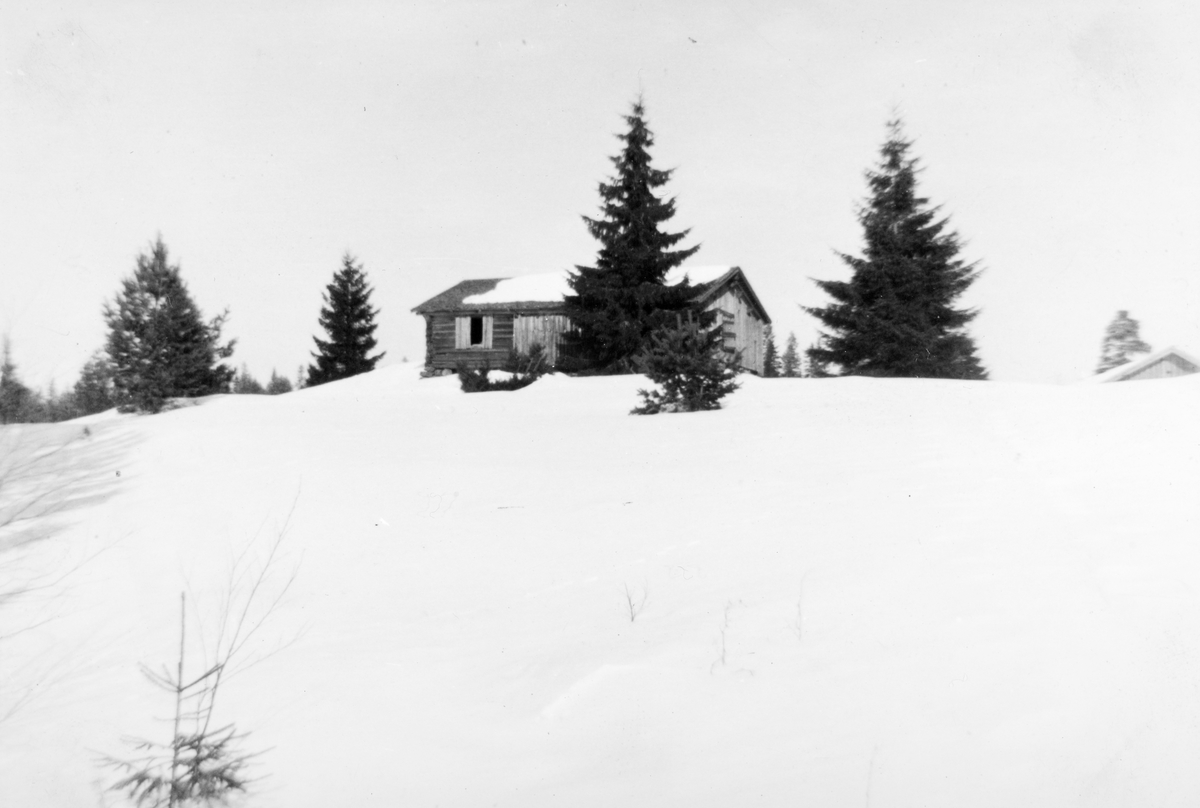 Seterstørhuset på Gaukilen i Romedal Almenning, vinteren 1964. I årene før 1900 bodde det folk fast på Gaukilen. 