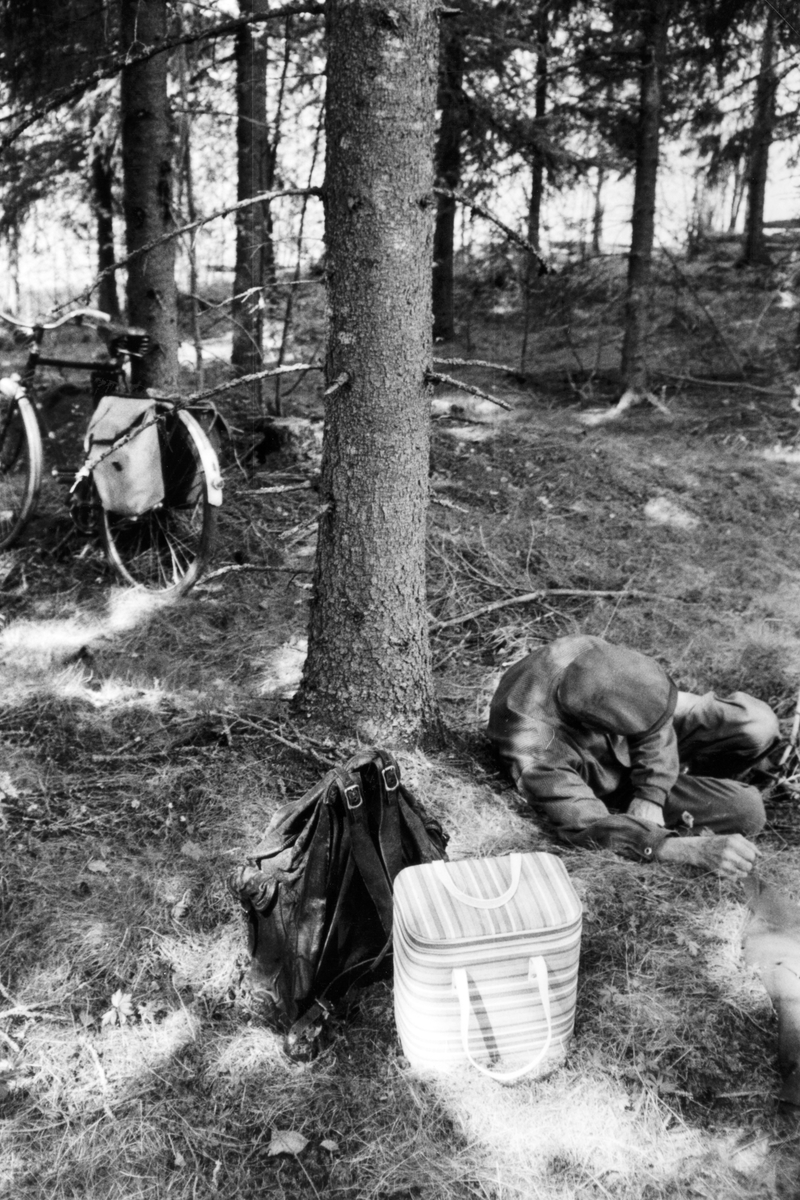 Sæter østre i Vallset, mai-juni 1982. Skogplanting hos Jon Haugen. Jon Haugen tar seg en hvil. Jon brukte den gamle velbrukte skinnsekken etter sin onkel, Ole Sæter. I tillegg hadde han noe så moderne som en frysebag, der han oppbevarte "hembrygd øl" til lesking av tørre struper. . (skrevet av Oddmund Rønningsbakken)