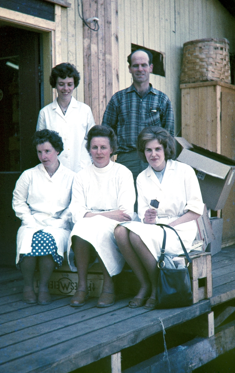 Stange sentrum, Stangebyen. Stange Samvirkelag. Gruppe ansatte ca. 1965. 1 rekke f. v. Oddveig Antonsen, Hjørdis Hoberg, Astrid Johansen. 2. rekke f. v Karin Ramseth og sjåfør Egil Emilsen. 