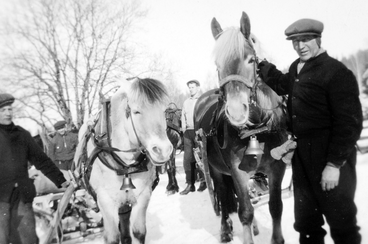 Tømmerkjørere i Prestmarka, Stange Almenning. Skogsarbeidere. F. v Arne Håkonsen, Arne Løken, Andreas Myhre. 