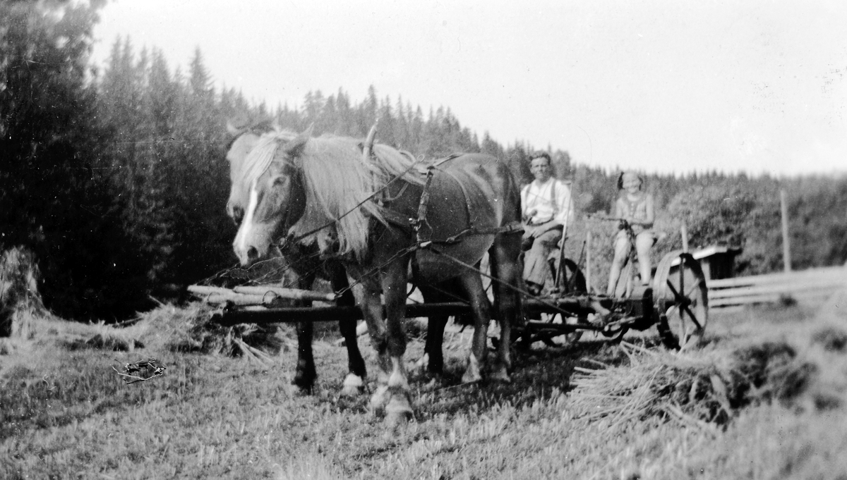 Torødegården,  Tangen, skuronn, ca. 1952. Hesteredskap. 