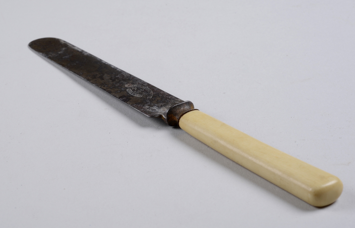 Kniv med benskaft og rett knivblad med avrundet avslutning.