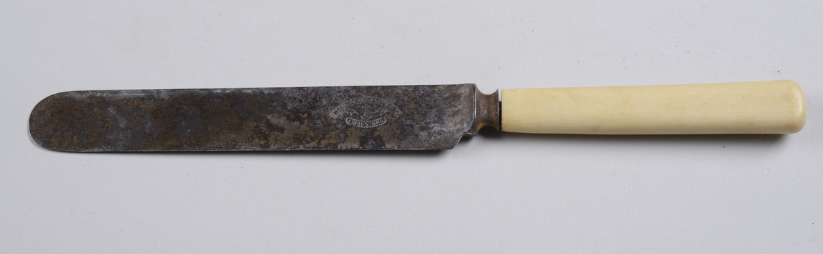 Kniv med benskaft og rett knivblad med avrundet avslutning.