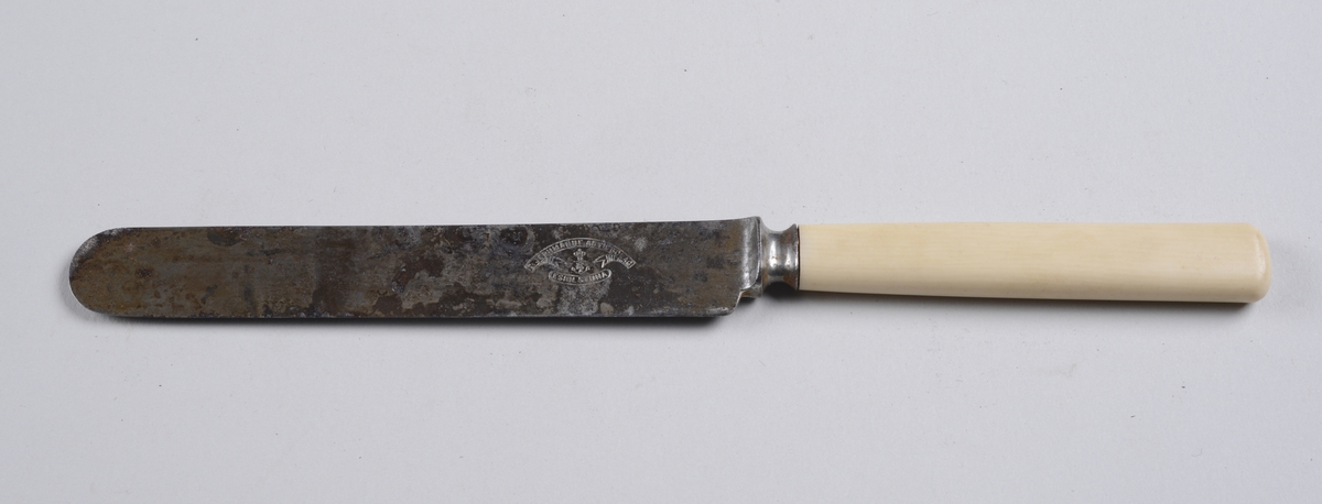 Kniv med benskaft og rett knivblad med avrundet avslutning.