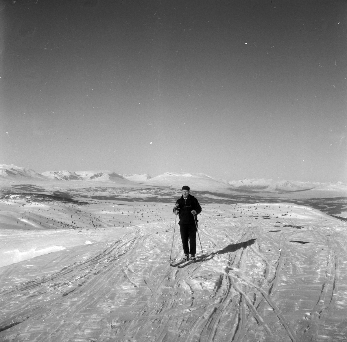 Adolf Skjegstad på ski på fjellet.