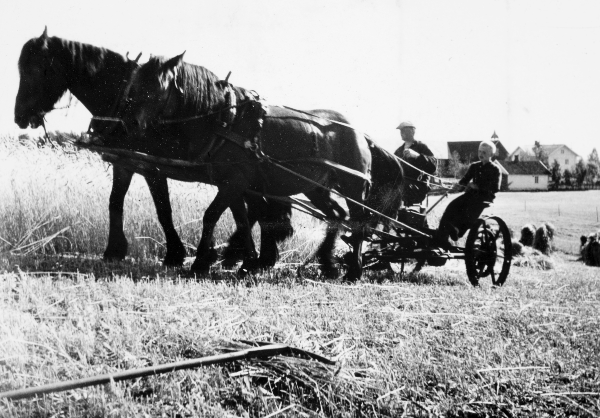 AT-tjeneste på Ådalsbruk i Løten, 26. august 1942 til 26. november 1942. Arbeidsdistrikt nr. 1. Arbiedsfylking IV. Sveit nr. 5. Forleggingssted Ådalsbruk. Arbeidstjenesten under 2. verdenskrig. 