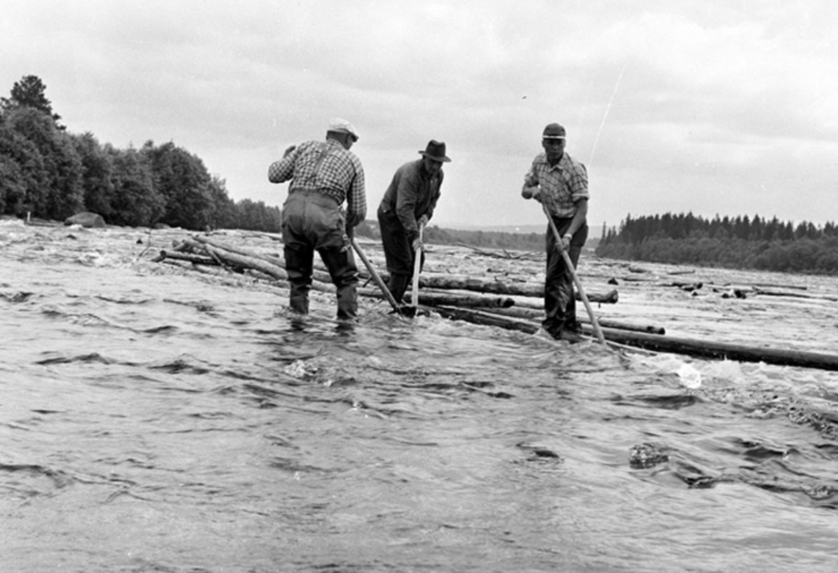 Fløting 