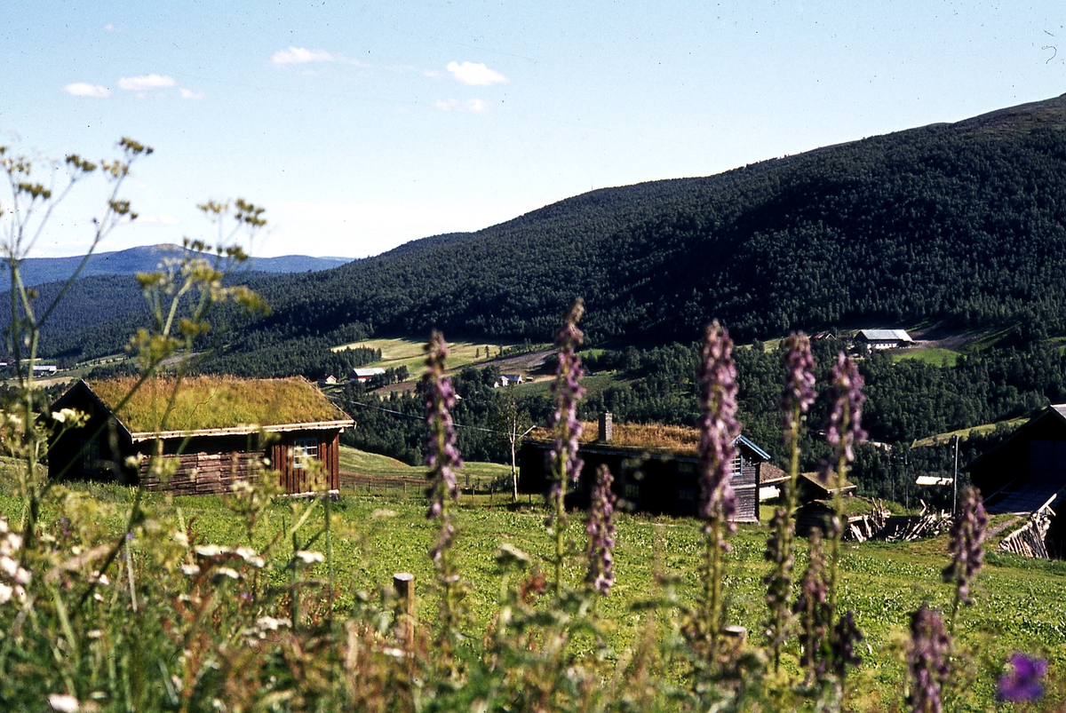 Landskap