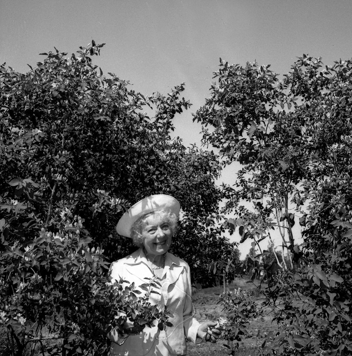 Ruth Lundeby