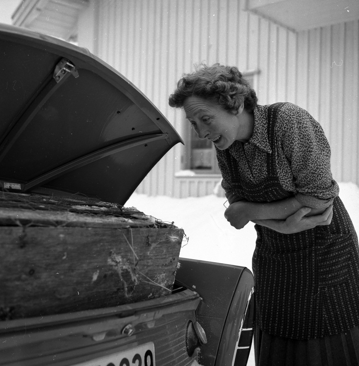 Magnhild Larsen