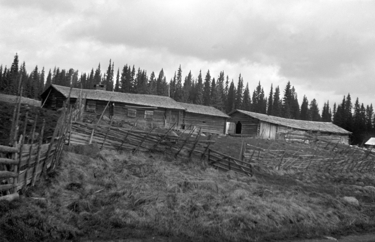 PRESTSETRA. VANG PRESTEGARD. FURNES ALLM i Ringsaker. Seterstørhuset og fjøset. 