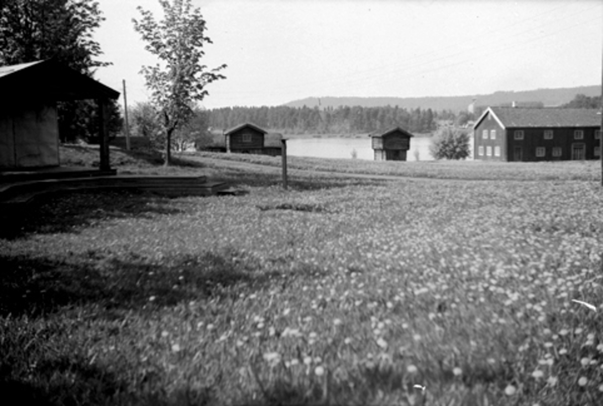 Hamar, Domkirkeodden, Barfrøstua, Røsetstabburet, Løtenbygningen,