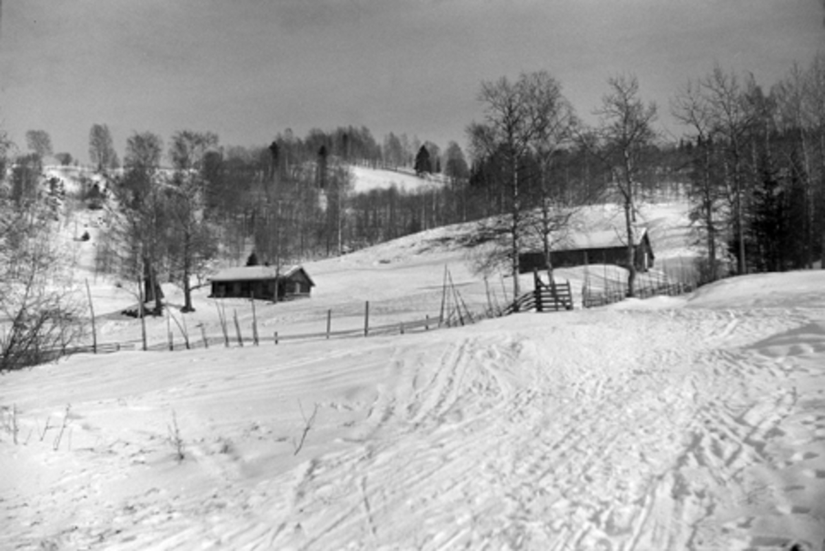 TUN, HANGENHOLEN, SØR, FURNES i Ringsaker, FB1. 95, GNR. 208-1