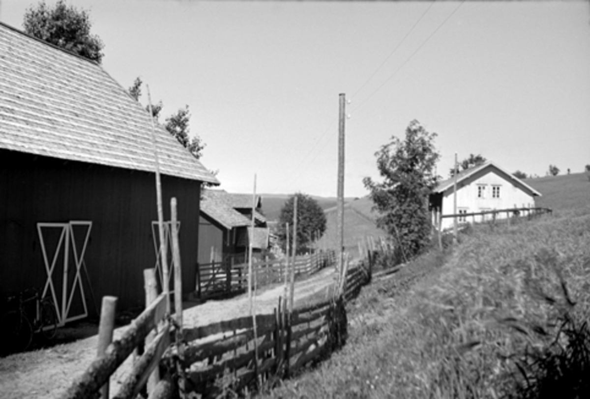 TUN, LILLEHOVDE, FURNES, Ringsaker, FB1. 125, GNR. 210-2