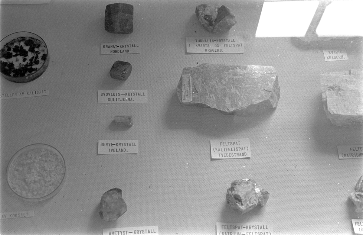 LØTENBYGNINGEN på Hedmarksmuseet, GEOLOGIUTSTILLING, VESTROM, 1. ETG. UTSTILLINGEN FØR EVAKUERING TIL 2. ETG. pga flommen i Mjøsa som steg raskt. 