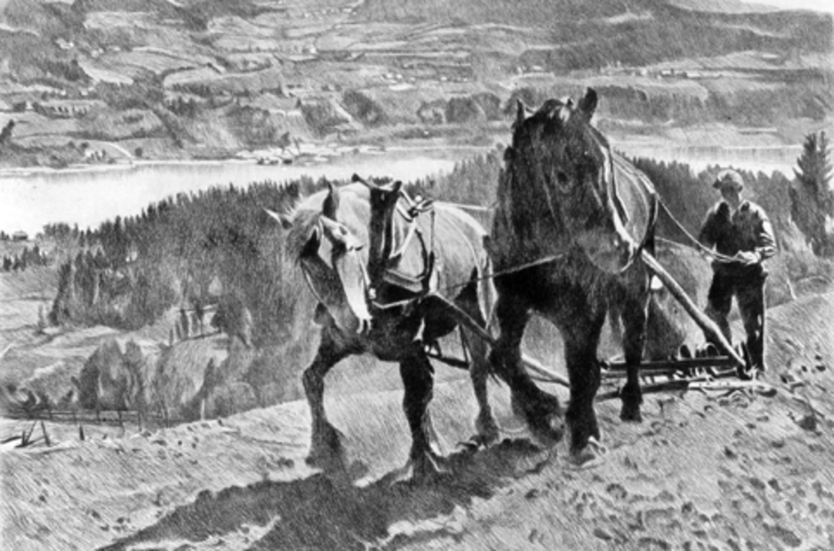 Oppland, Vingnes, Reistad gård, radering etter Normanns Kunsforlag sitt motiv som postkort, Johan Jakobsen harver med to hester i våronna på jordet "Nere Lykkja"
Se foto: 0412-15898