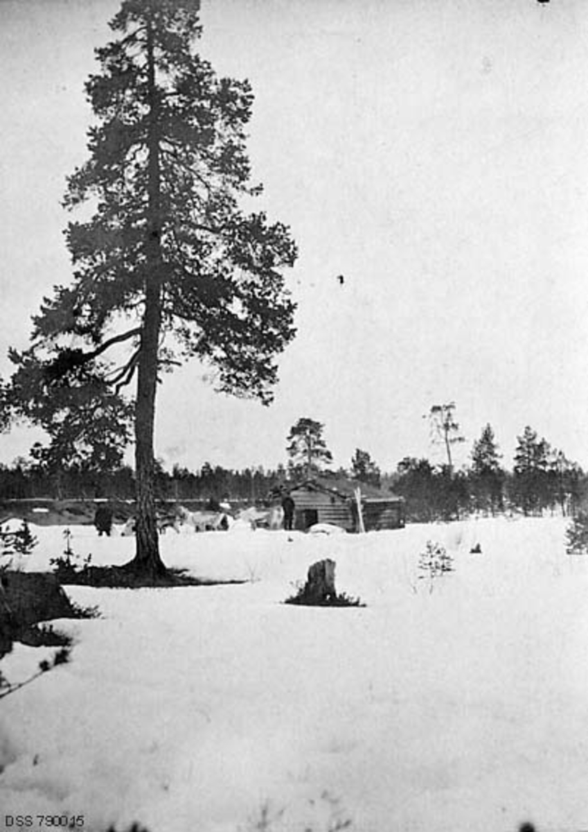 Et skogshusvær i øvre del av Pasvikdalføret i Finnmark.  Fotografiet er tatt på litt distanse i april måned i 1907.  Det lå fortsatt snø på marka, men den hadde brånt under ei furu til venstre i forgrunnen og omkring en stubbe sentralt i bildeflata.  Skogstua eller koia i bakgrunnen er en rektangulær laftekontstruksjon med dør i gavlenden, og med torvtekket saltak.  Foran inngangen ser vi to menn og fire-fem reinsdyr, antakelig kjørerein.  Ved det ene hjørnet av huset er det også oppstilt et par ski.  Skogshusværet ligger på ei åpent areal i et flatt lende med forholdsvis glissen furuvegetasjon.

I en tekst som er påført den statlige skogadministrasjonens kartotekkort for dette motivet (jfr. rubrikken «Tittel») har man kalt dette skogshusværet for «Klercks Minde».  Det er vel grunn til å anta at dette var et ironiserende navn på dette enkle husværet.  Det er nærliggende av anta at navnet refererer til en av to Klerck-karer som hadde posisjoner i statens skogforvaltning i denne delen av Finnmark.  Magnus Christian Falsen Klerck (1817-1891) var lensmann, skogfut, poståpner og gardbruker på eiendommen Elvenes i Sør-Varanger.  Hans sønn Arthur Klerck (1866-1943) gikk tok skogskoleutdanning i Steinkjer, og ble skogtilsynsmann i hjemtraktene etter at han hadde gjort det.  I 1903 ble han utnevnt til skogforvalter i Øst-Finnmark, en posisjon man ellers vanligvis måtte ha høgskoleutdanning og forstkandidateksamen for å få.  Arthur Klerck var skogforvalter i 20 år, fram til 1923.  Han søke, i en alder av 57 år, avskjed fra skogforvalterstillingen med henvisning til at han hadde sviktende helse.  Han fortsatte likevel å arbeide for skogbruket i Øst-Finnmark, blant annet som fløtingsinspektør i Pasvikdalføret.

I en rapport fra 1908-1909 er «Klercks minde» betegnet med et samisk- eller finskklingende navn, «Nauoutsouando-stuen».

På moderne kart (2014) er navnet «Klercks minde» registrert som stedsnavn i bygdelaget Eiby i Alta.