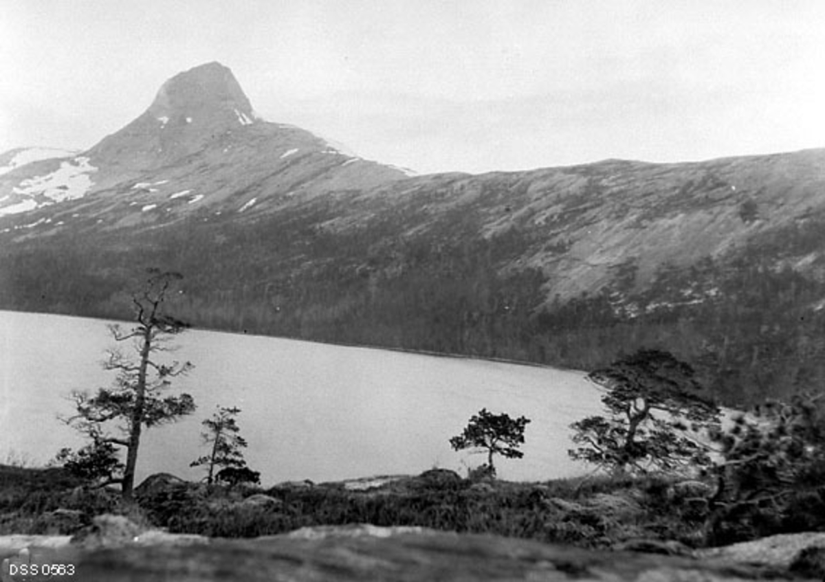 Landskapsfotografi fra Rørstaddalen i Sørfold i Salten.  Fotografiet er tatt fra et berg over en liten innsjø mot en fjellrygg på den motsatte sida av sjøen.  Denne ryggen har en del trevegetasjon langs foten (ned mot vannet), men i hovedsak bare blankskurte bergflater høyere oppover.  Til venstre på bildet en markert fjelltopp, omgitt av enkelte snøflekker. 