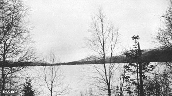 Utsikt over Øvre Svenningvatn i Grane på Helgeland.  I forgrunnen greiner fra gran- og furutrær.  Vannflata er is- og snødekket.  På motsatt side ses et smalt belte av barskog med snødekte snaufjell i bakgrunnen.