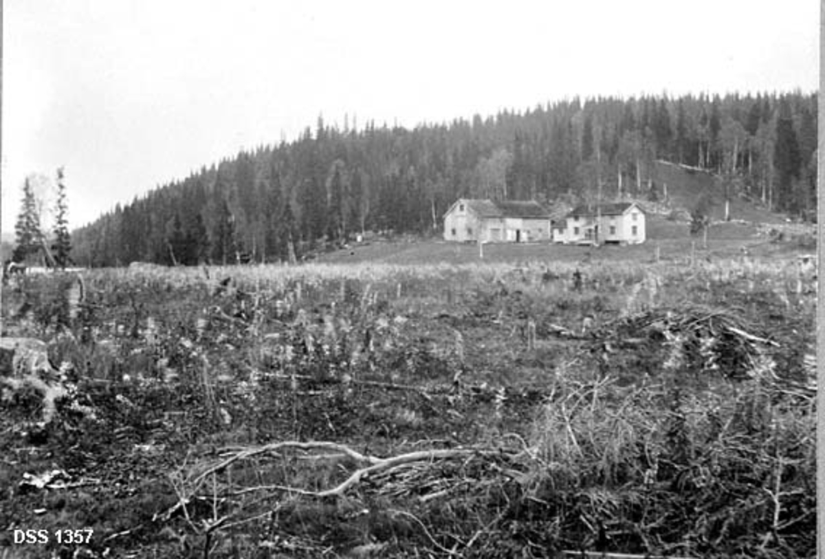 Rydningsplassen Bjørnstad i Namsskogan.  Fotografiet er fra ei avskoget slette der marka fortsatt var preget av stubber og en del kvist etter hogsten.  Det er naturlig å tenke seg at arealet kan være tenkt som rydningsland for bruket Bjørnstad, som ligger på et høydeddrag i bakgrunnen, omgitt av et par hellende grasvoller.  Bruket har halvannenetasjes våningshus med et enetasjes tilbygg i den ene enden, og driftsbygning.  På bakkekammen bak bruket vokser det granskog med innslag av bjørk. 