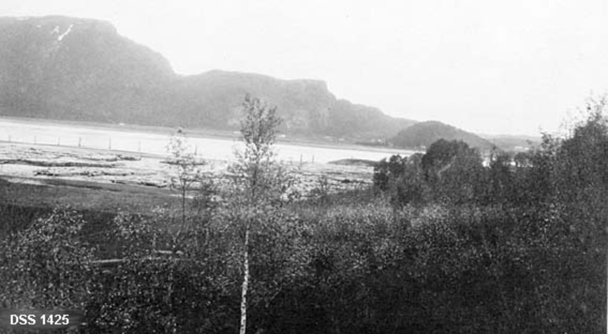 Skogvesenets tømmerbom ved Smiberg i Namsen.  Tømmerbommen er fotografert fra en strandbredd der det vokser en del lauvkratt i forgrunnen.  Tømmeret er innringet av ei kraftig lense som ligger an mot pæler.  I bakgrunnen markante fjell med et strandplatå med gardsbruk foran. 