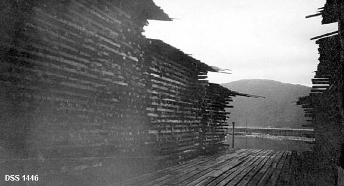 Brygge med stabler av utskottsplanker utenfor Van Severens bruk i Namsos.  Brygga har plankedekke.  Fotografiet er tatt innenfra, mellom to rekker av stabler mot fjorden, der en ser en markant åskam på motsatt side. 