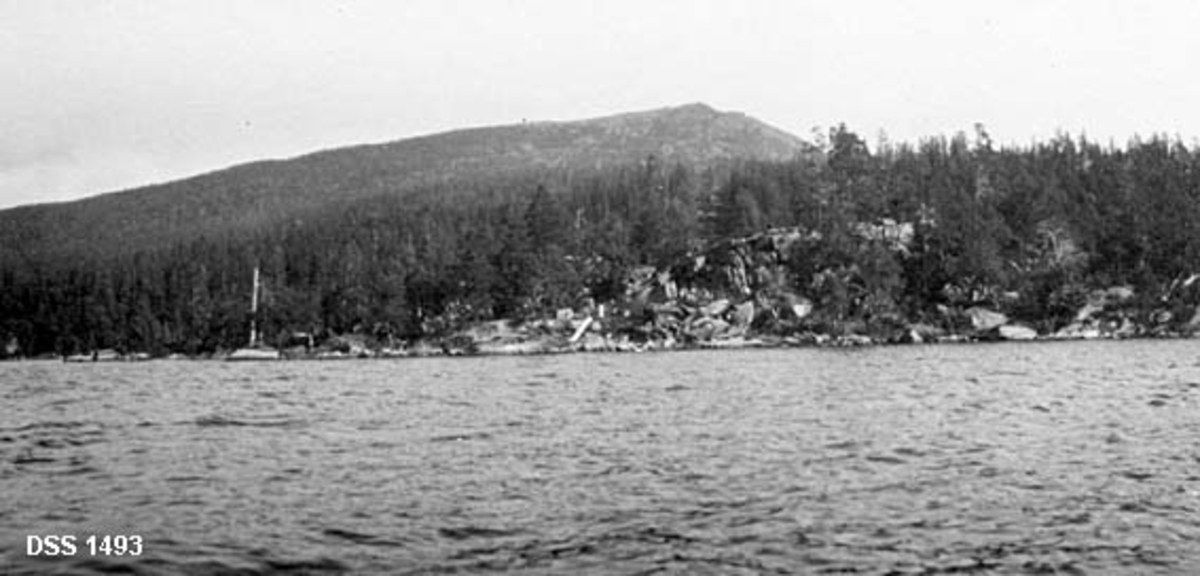 Skoglandskap i Jevsjø statsskog i Snåsa, sett fra Jevsjøen.  Fotografiet er tatt mot land på et sted med en del fjellknauser som det vokste barskog på.  I bakgrunnen en åskam uten skog på toppen.
