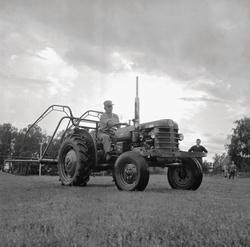 Traktor, svensk Bolinder Munktell, ca. 1960 modell.