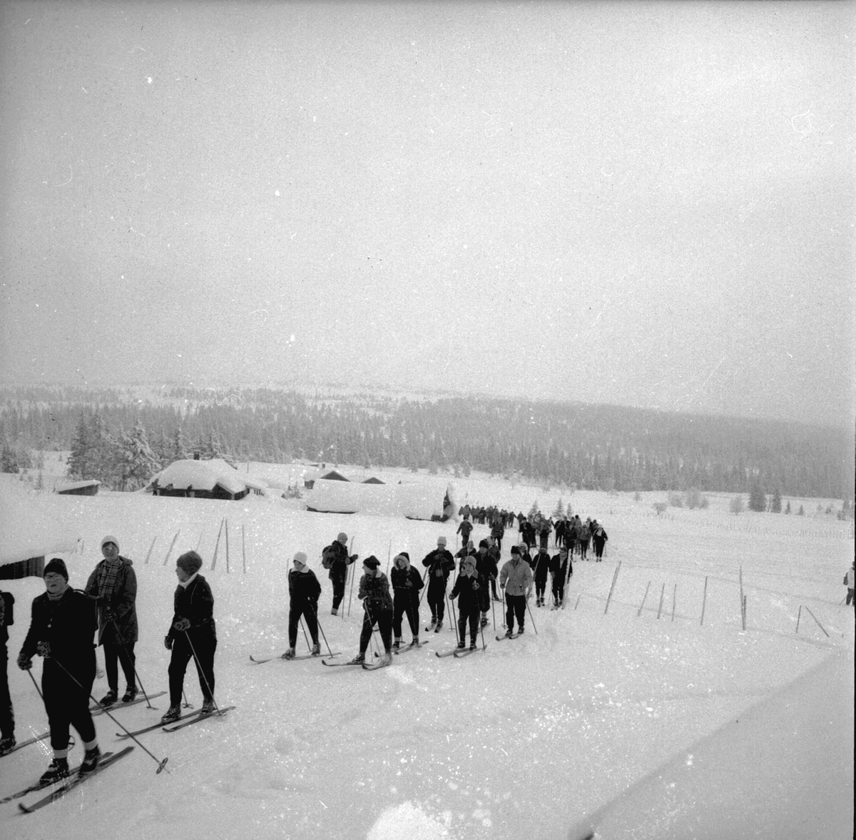 HAMAR KATEDRALSKOLE PÅ SKITUR VED BUDOR. (HS 20. FEBRUAR 1960). SKI. STED:BUDOR. KOMMUNE:LØTEN. DATO:19. 02. 1960. FOTO:EGIL M. KRISTIANSEN 